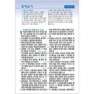 [기획성경]비치용 기본인쇄 교회 비치용 성경전서 개역개정 새찬송가 NKR73STH / 중 / 색인 / 무지퍼 / 검정 (17508)