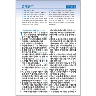 고급판 큰글자 성경전서 NKR73SB 개역 개정판 새찬송가 중 / 합본 / 색인 / 지퍼 / 천연가죽 / 자주(17504)