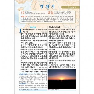 빅컬러성경 개역개정 새찬송가 대/색인/지퍼/검정(10121)