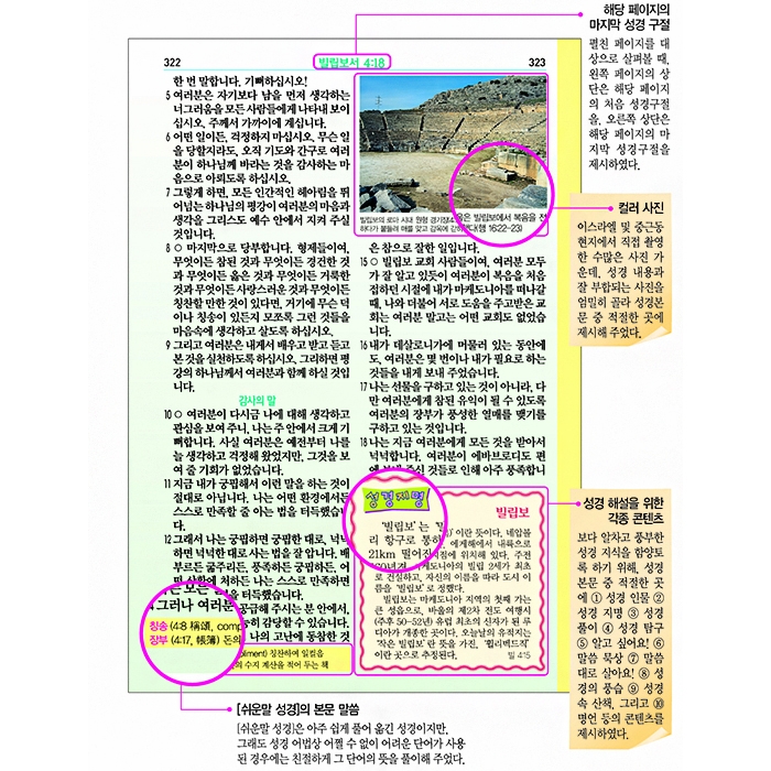 DK 일러스트 컬러 쉬운말성경 소/단본/가죽(13150)