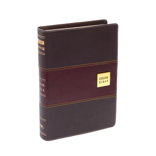 개역개정 컬러바이블 특대 다크브라운 가죽