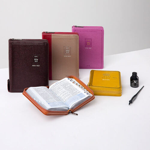 개역개정 큰글자굿모닝성경 초미니 브라운