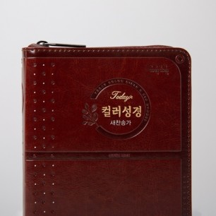 개역개정 투데이컬러성경 소 합본 브라운