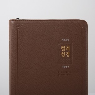 개역개정 컬러성경 대 합본 다크브라운