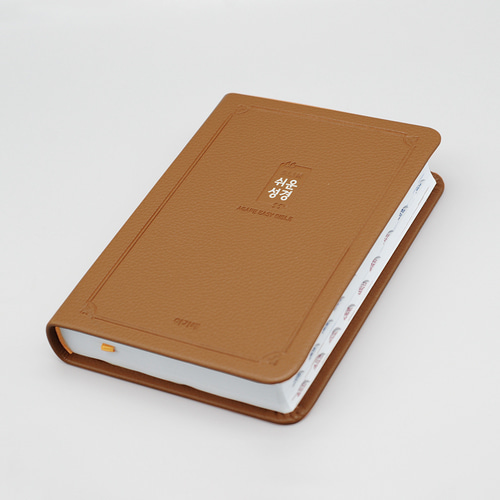 슬림쉬운성경 소 단본 브라운