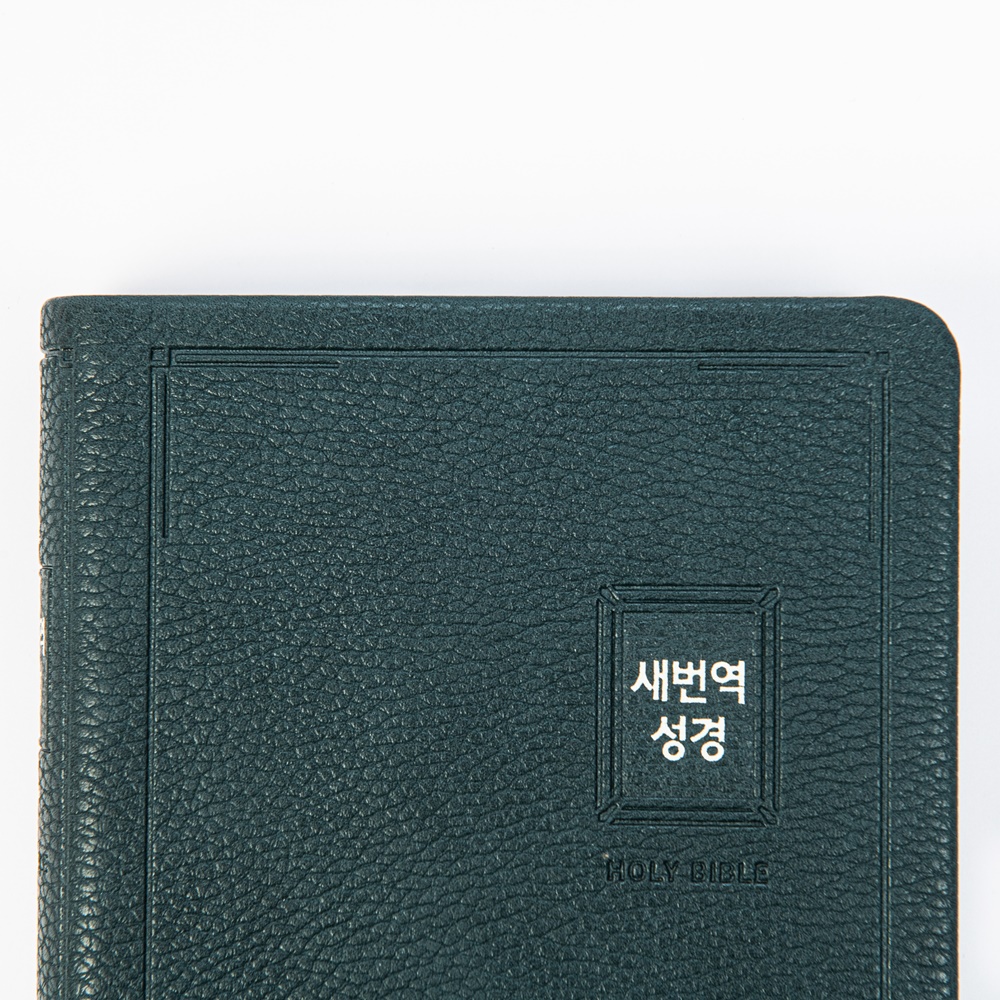 새번역성경 (RN62EX) 소 단본 블루그린