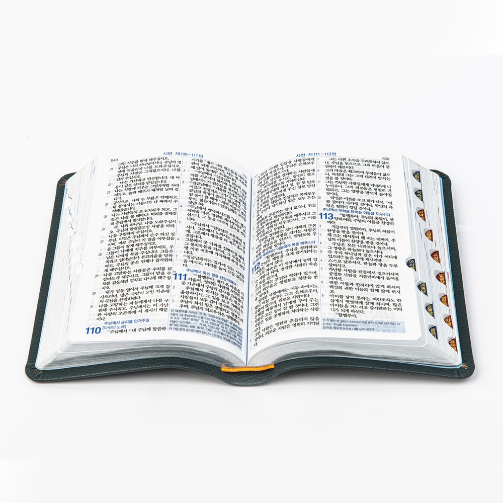 새번역성경 (RN62EX) 소 단본 블루그린